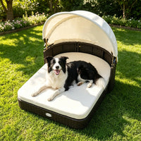 Hand-Woven PE Rattan Dog Bed with Adjustable Canopy, Elevated Outdoor Pet Daybed with Washable Plush Cushion, Anti-Slip 