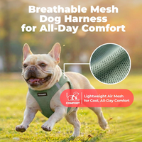 Dog Vest Harness Moss Green Medium
