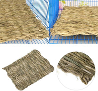 The Ultimate Chew-athon: 12 Grass Mats for Your Furry Friends' Snack Time and Nap Zone! - BIG FRENCHIES