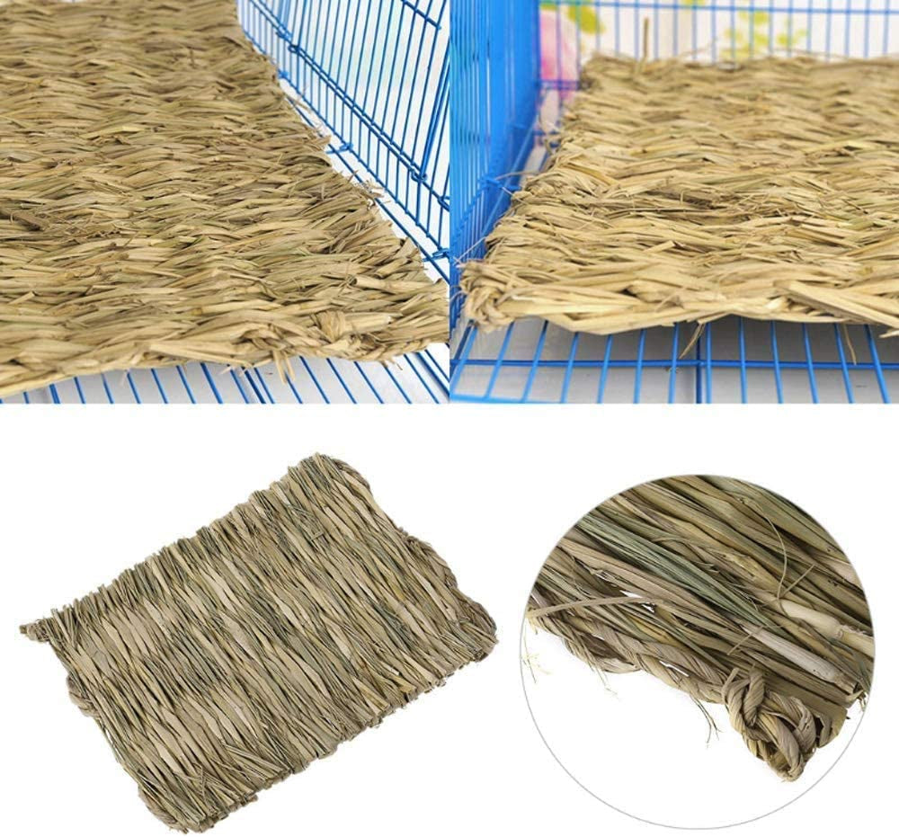The Ultimate Chew-athon: 12 Grass Mats for Your Furry Friends' Snack Time and Nap Zone! - BIG FRENCHIES