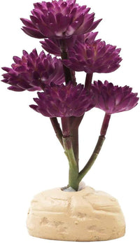 Reptile Plants Artificial - BIG FRENCHIES