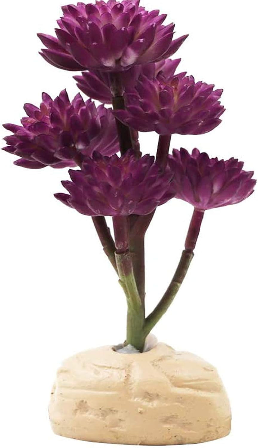 Reptile Plants Artificial - BIG FRENCHIES