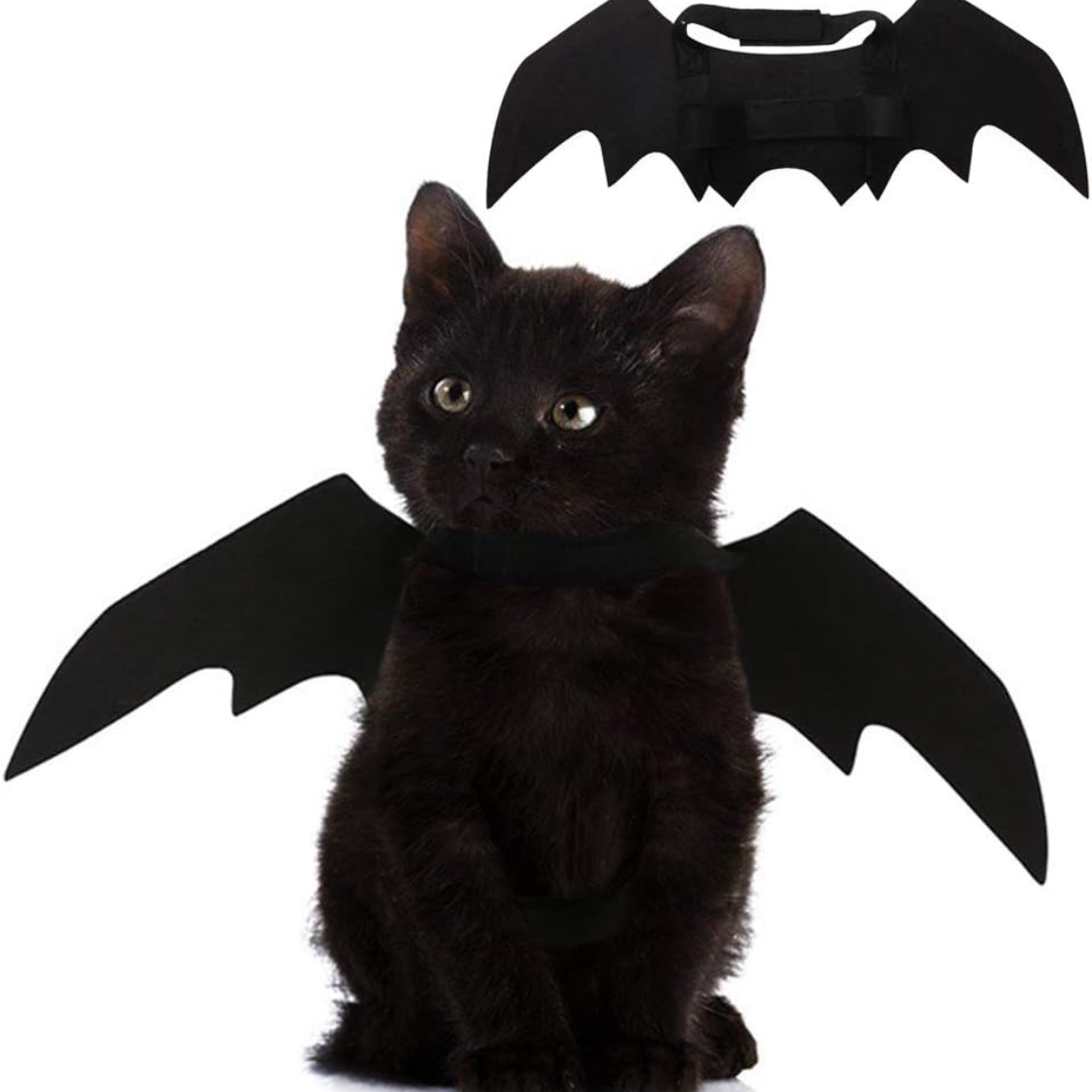 Pet Cat Bat Wings For Halloween Party Decoration, Puppy Collar Leads Cosplay Bat Costume,Cute Puppy Cat Dress Up Accesso