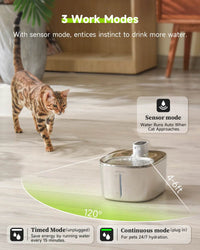 4L Wireless Cat Water Fountain - Auto Sensor Pet Drinking Fountain with Battery | Stainless Steel Cordless Water Dispenser for Dogs & Cats - BIG FRENCHIES