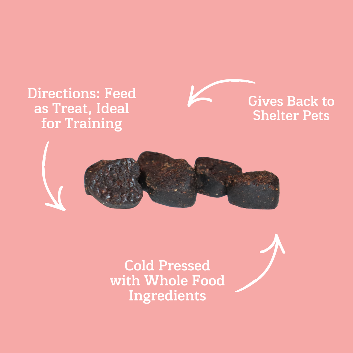 GivePet Beagle Scout Soft & Chewy Training Dog Treats with Carob, Honey & Vanilla, 6.3 oz, Pack of 20