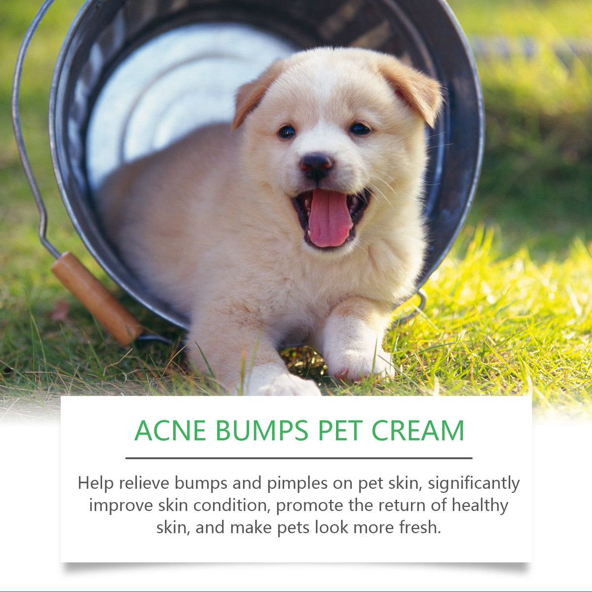 Pet Acne & Bumps Skin Cream, Soothing Skin For Dogs & Cats, Relief Redness Irritated Skin With Calendula & Ganoderma Ext