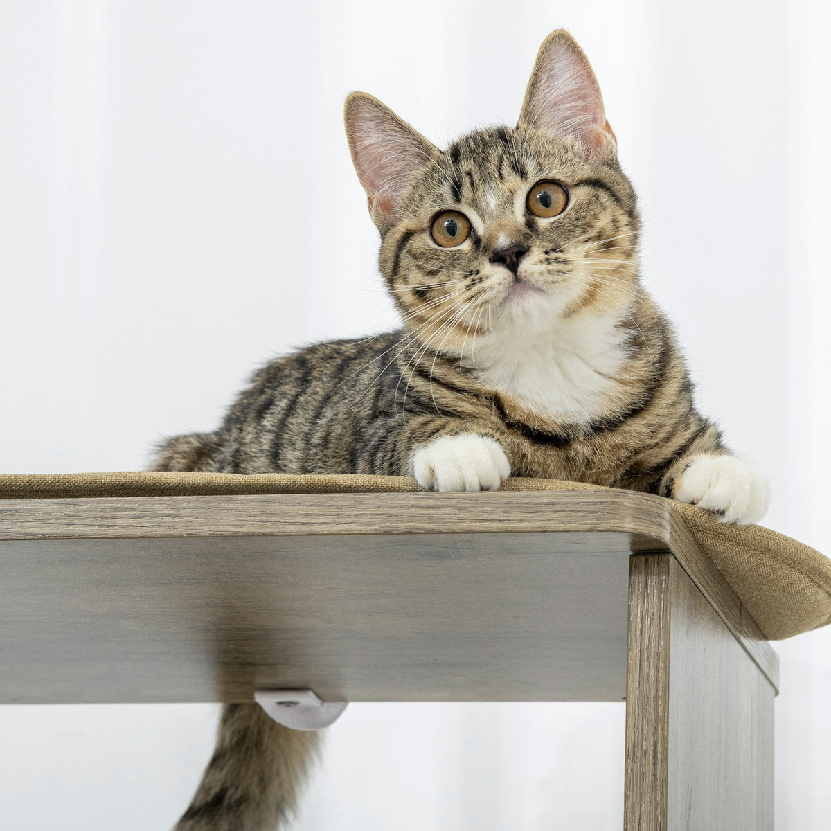 65" Corner Modern Cat Tree Tall for Climbing, Large Multilevel Cat Tower with Scratching Posts, Small-Fit Kitten Tower w