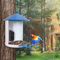 Smart Bird Feeder With Solar Powered Camera 1080P HD AI Identify PIR Motion Auto Capture Video Cloud Card Storage WiFi C