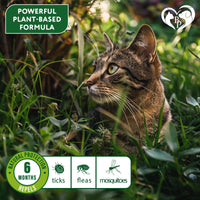 Flea & Tick Collar for Cats 6-Month Protection Essential Oil Repellent 1 Pack