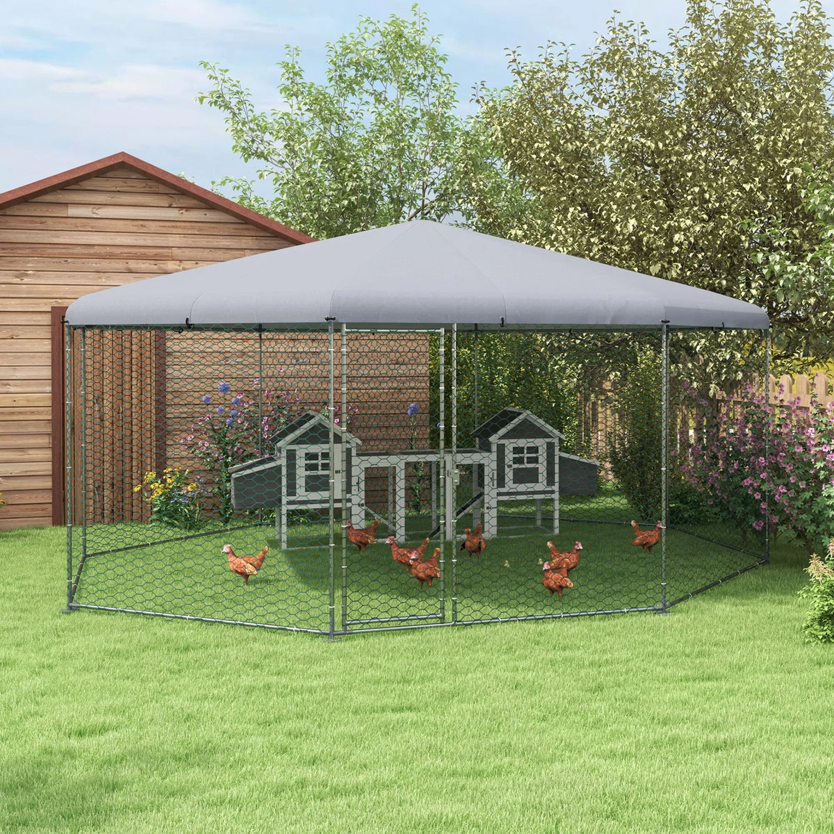 Chicken Coop