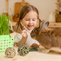 Rabbit Toys Bunny/Guinea Pig Toys Natural Timothy Hay Hamster Toys for Teeth Handmade Chews and Treats Apple Wood Sticks Chinchilla Rat - BIG FRENCHIES