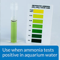 Ammo Lock Freshwater and Saltwater Aquarium Ammonia Detoxifier 1-Gallon Bottle - BIG FRENCHIES