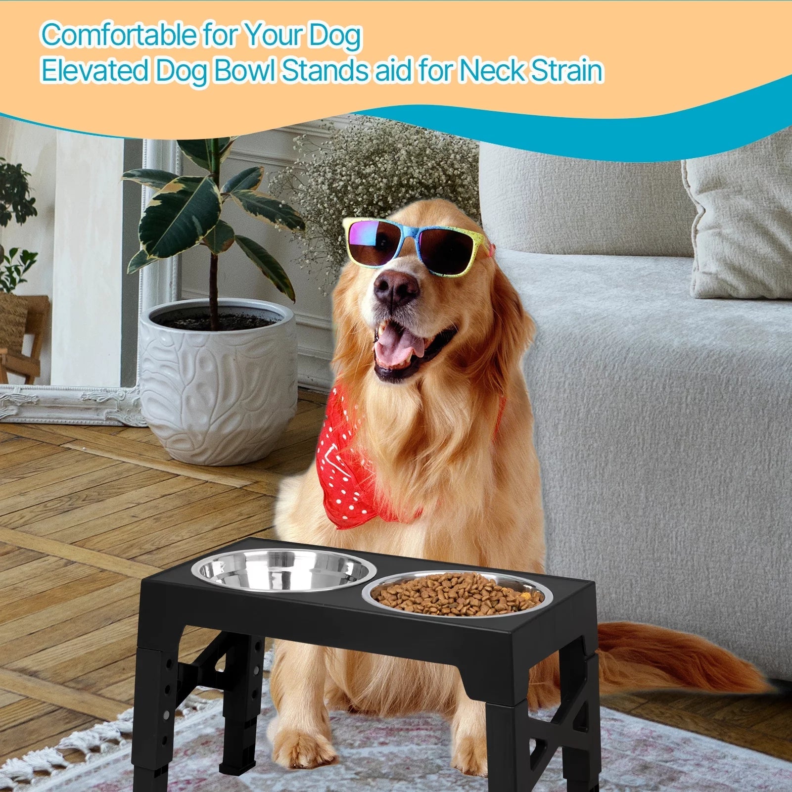 Top 10 Elevated Dog Bowl Stands with Stainless Steel Dishes - BIG FRENCHIES