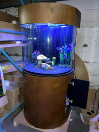 60 Gallon Half Round (Flat Sides) Reef-Ready Aquarium with Stand, Deep Oak