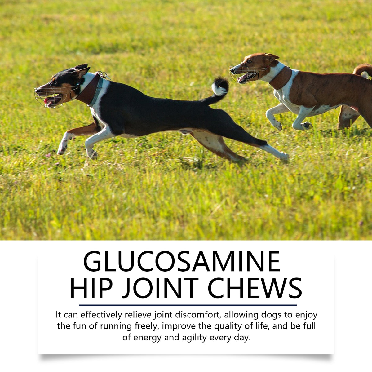 Dog Glucosamine Hip Joint Chews, Chondroitin Joint Support Supplements For All Breeds, Chicken Flavor Soft Chews To Reli