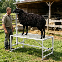 Livestock Stand with Adjustable Height and Metal