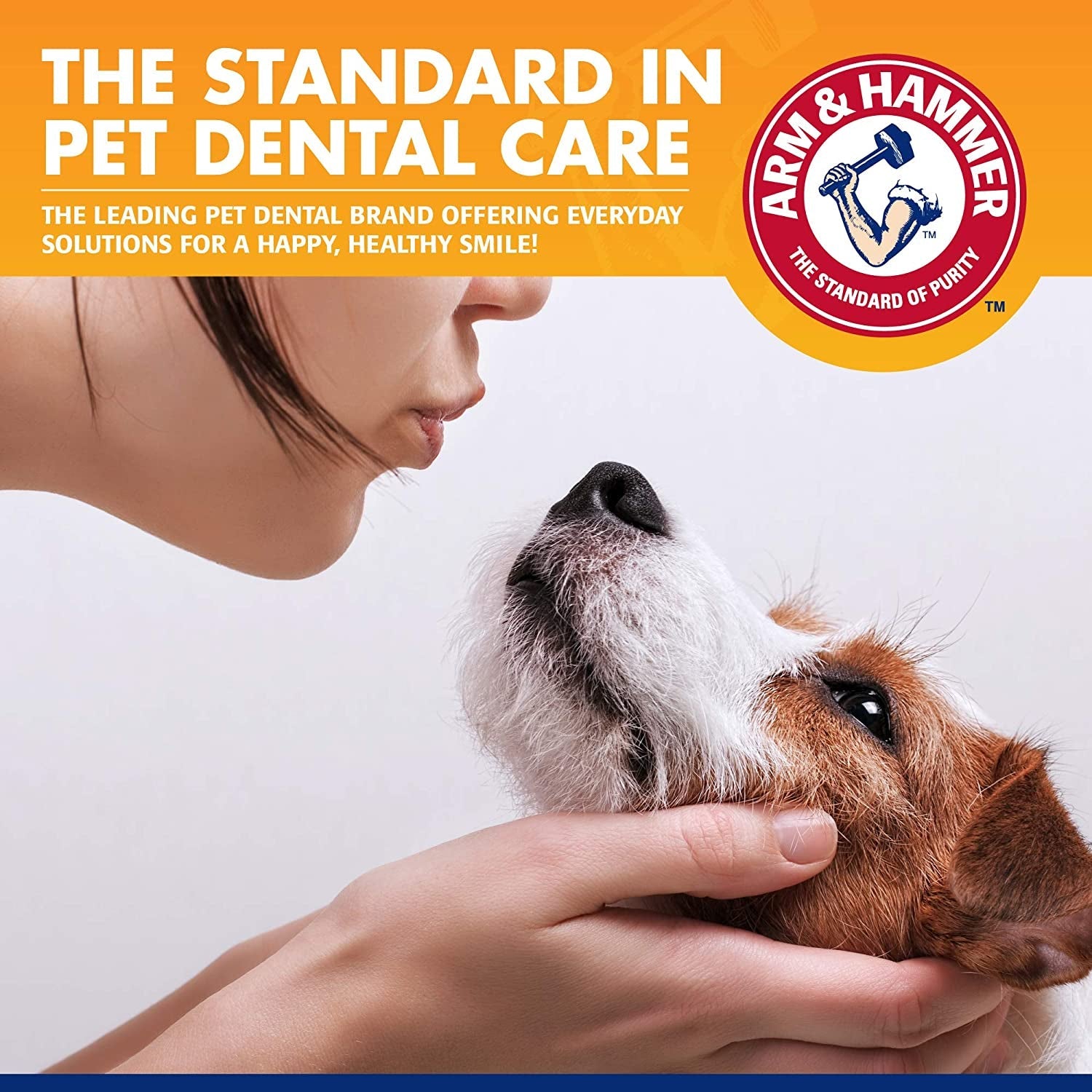 for Pets Tartar Control Kit for dogs - BIG FRENCHIES