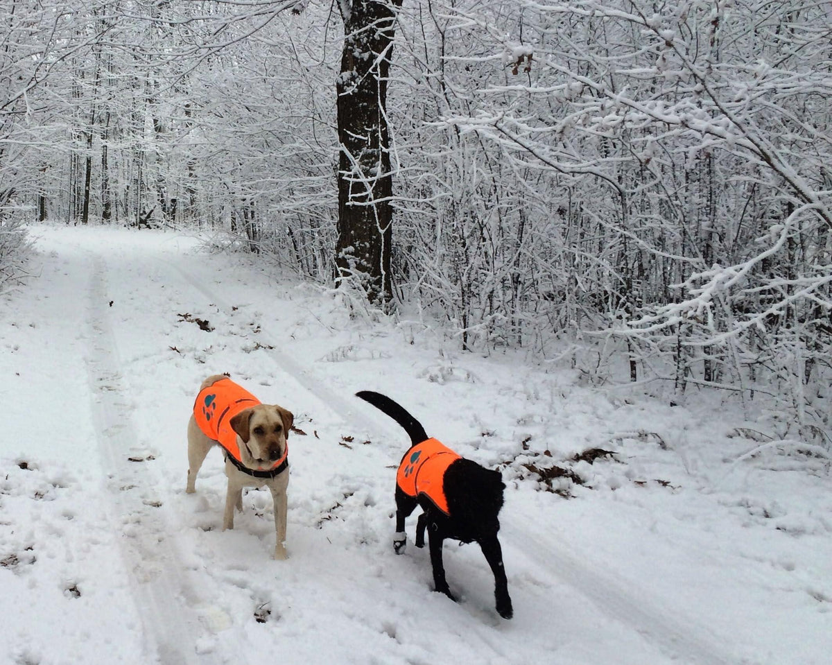 Reflective Dog Vest Hi-Vis L Size 35.75 in Chest x 26.75 in Neck Orange