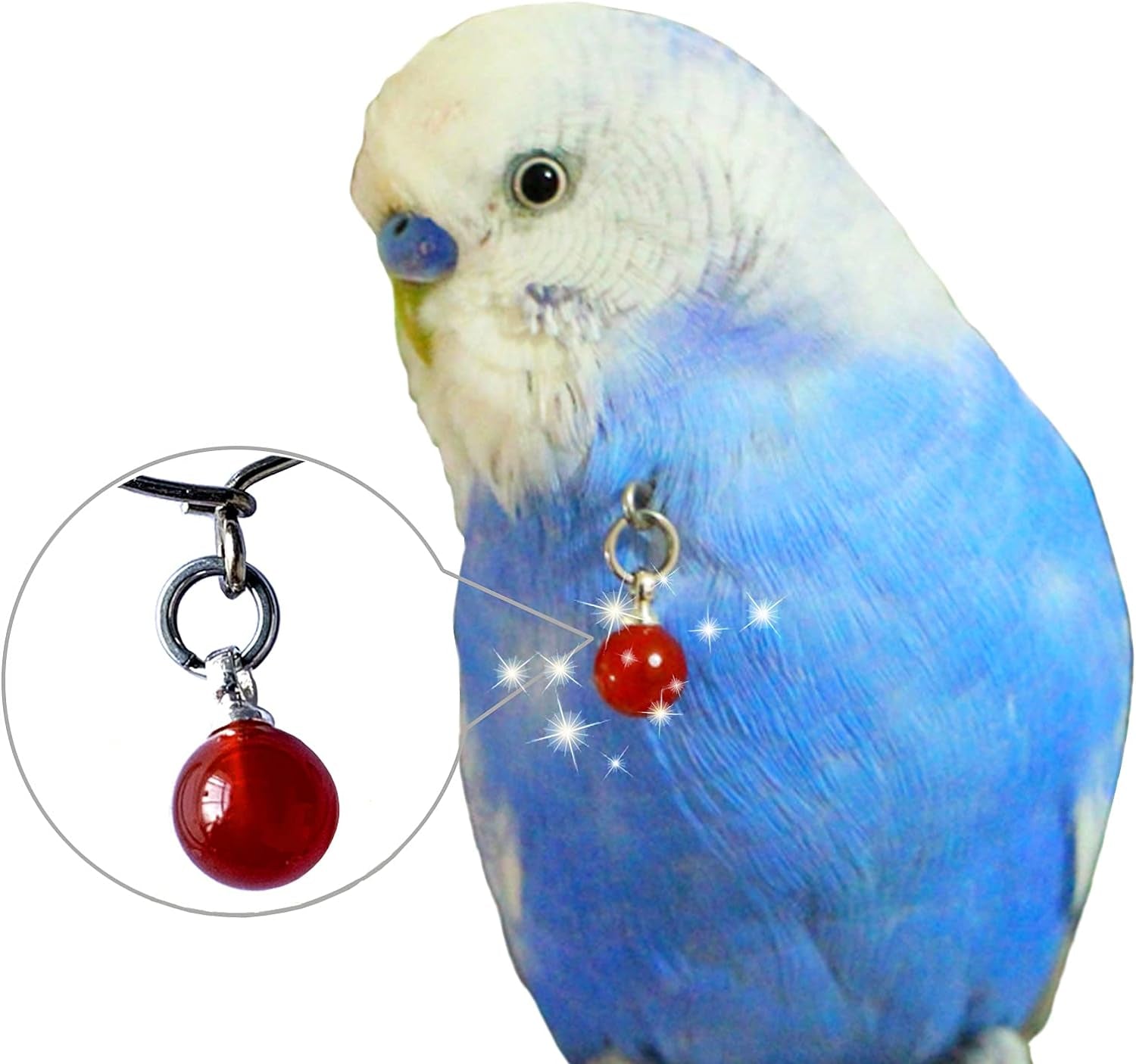 Parrot Bells Parrot Collar Necklace Parrot Decoration Parrot Scarf Clothes Budgerigar Peony Parrot Cockatiel Golden Sun Parrot - BIG FRENCHIES