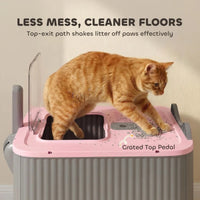 Cat Litter Box With Lid, Enclosed Litter Box For Medium Cats, Front-Entry And Top-Exit, Scoop, Deodorizer Bag, Pink