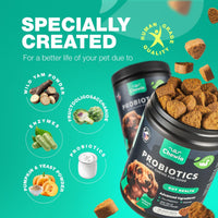 Probiotics for Dogs Digestive Enzymes Gut Health Pumpkin & Yeast Powder