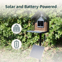 Smart Bird Feeder with Camera, 2K HD, Solar Power & AI Bird ID
