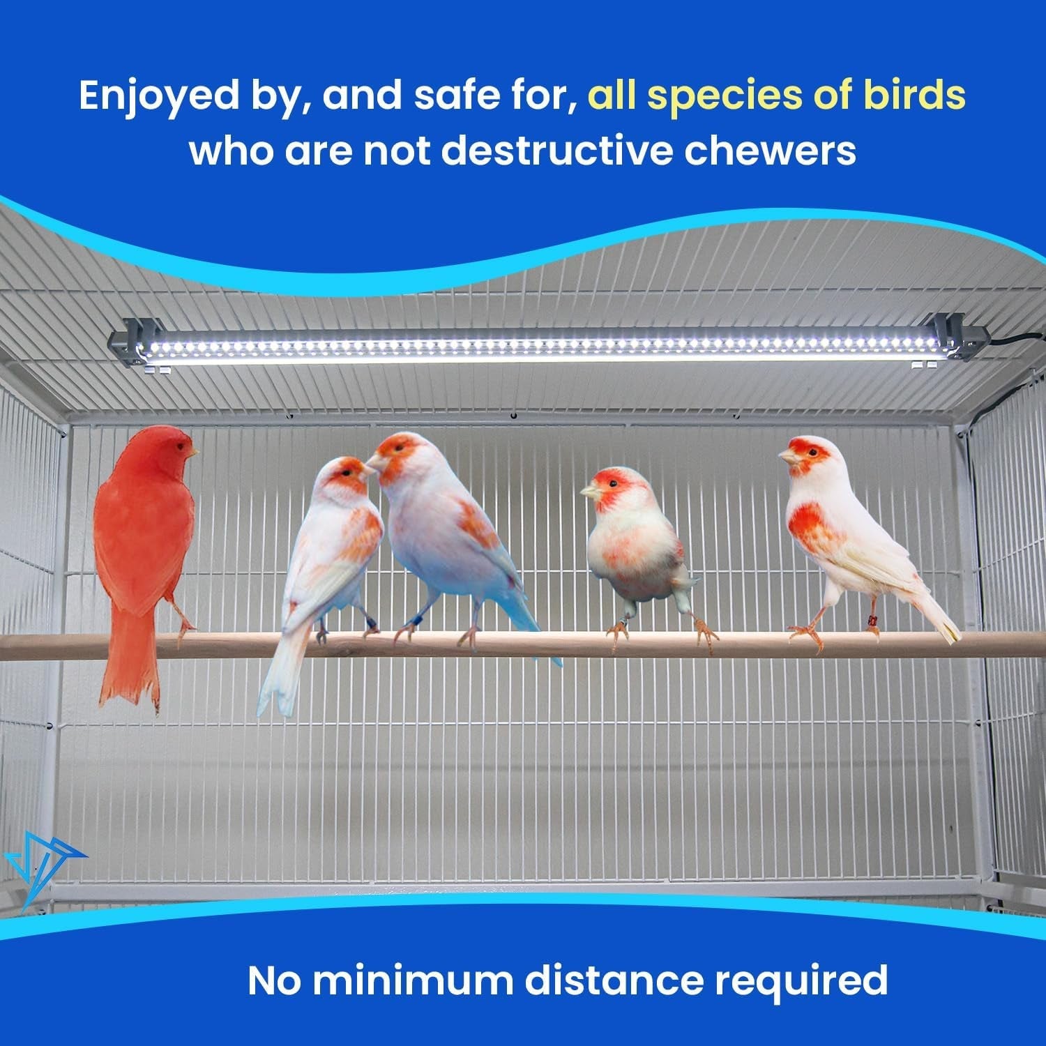 Illuminate Your Bird's World with the Happybird Full Spectrum LED Light - Safe, Easy-to-Install, and Perfect for Soft Bill Birds - BIG FRENCHIES