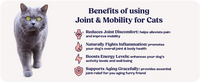 Cat Joint Supplement Chondroitin Mobility Support Natural Formula