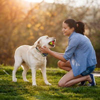 Dog Bark Collar Rechargeable Waterproof Beep Vibration Static Stimulation Bark Stopper Automatic Identification Collar W