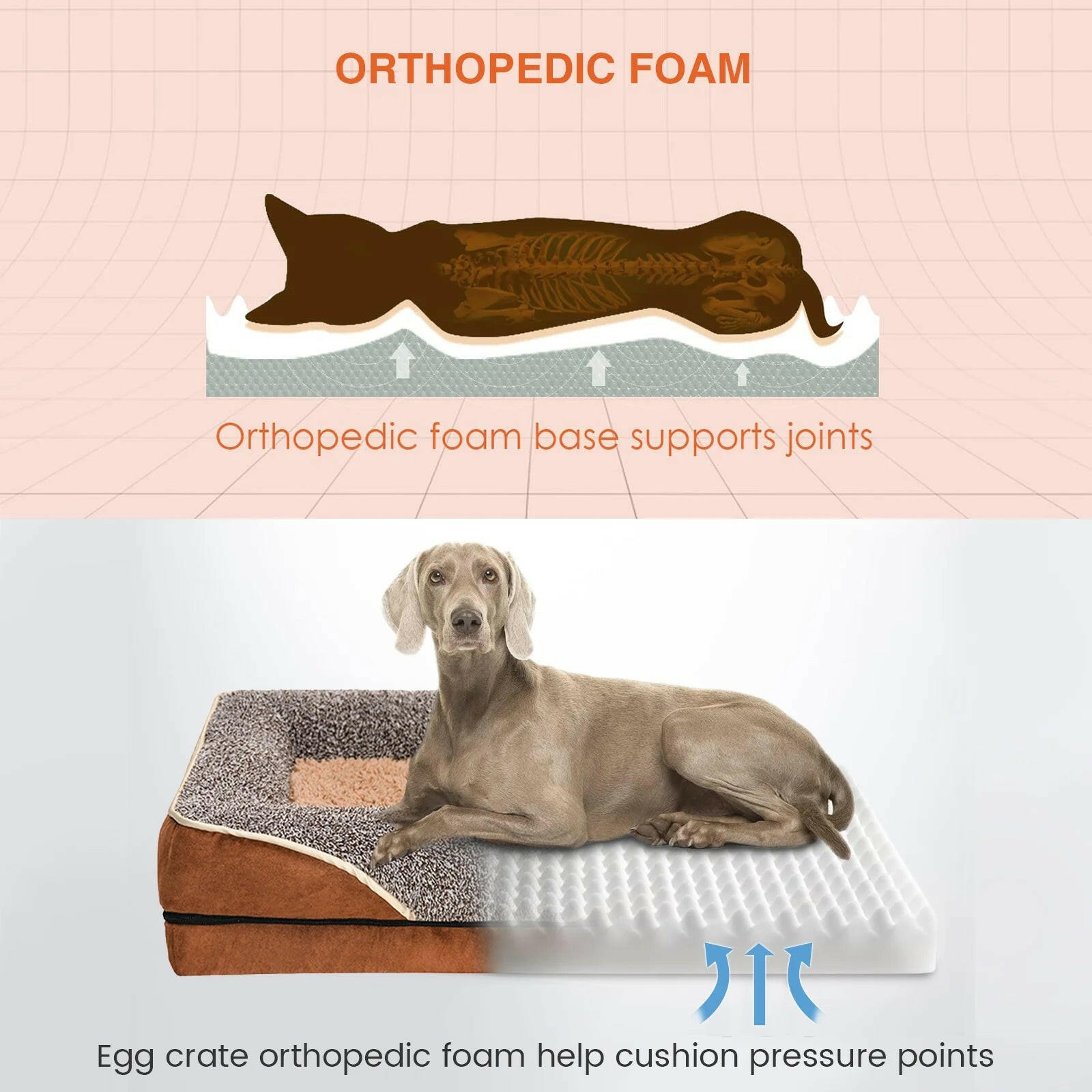 Best Orthopedic Dog Beds for Small Dogs - BIG FRENCHIES