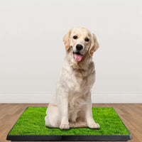 25"×20" Dog Toilet Indoor Puppy Training Pad, Dog Potty Pet Training Grass Mat, Removable Waste Tray for Easier Clean Up