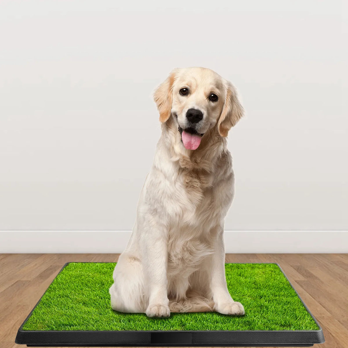 25"×20" Dog Toilet Indoor Puppy Training Pad, Dog Potty Pet Training Grass Mat, Removable Waste Tray for Easier Clean Up