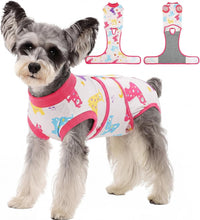 Female Dog Recovery Suit After Spay, XS–2XL