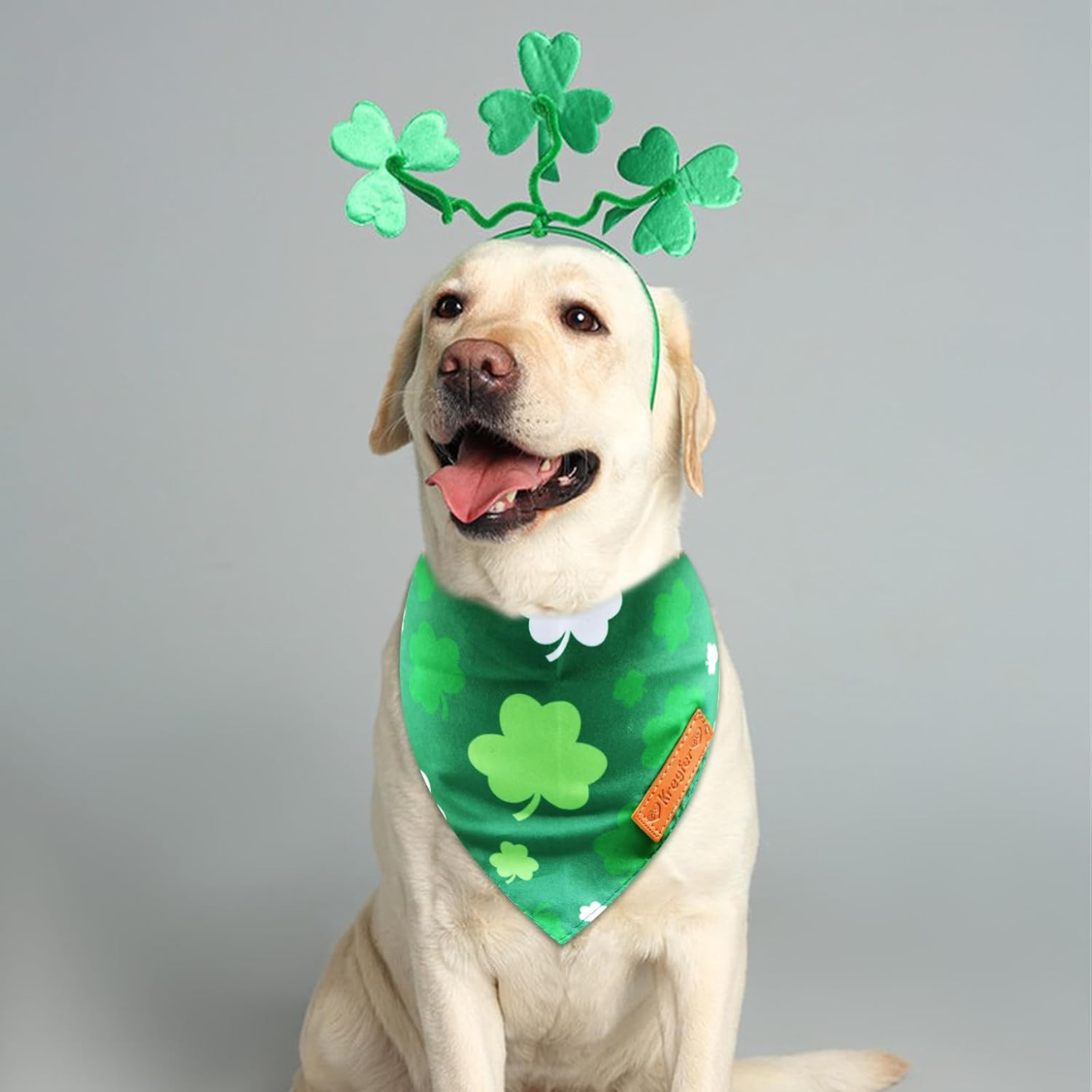 2 Pieces St. Patrick's Day Dog Bandanas, Double-Sided Reversible Triangle Scarf
