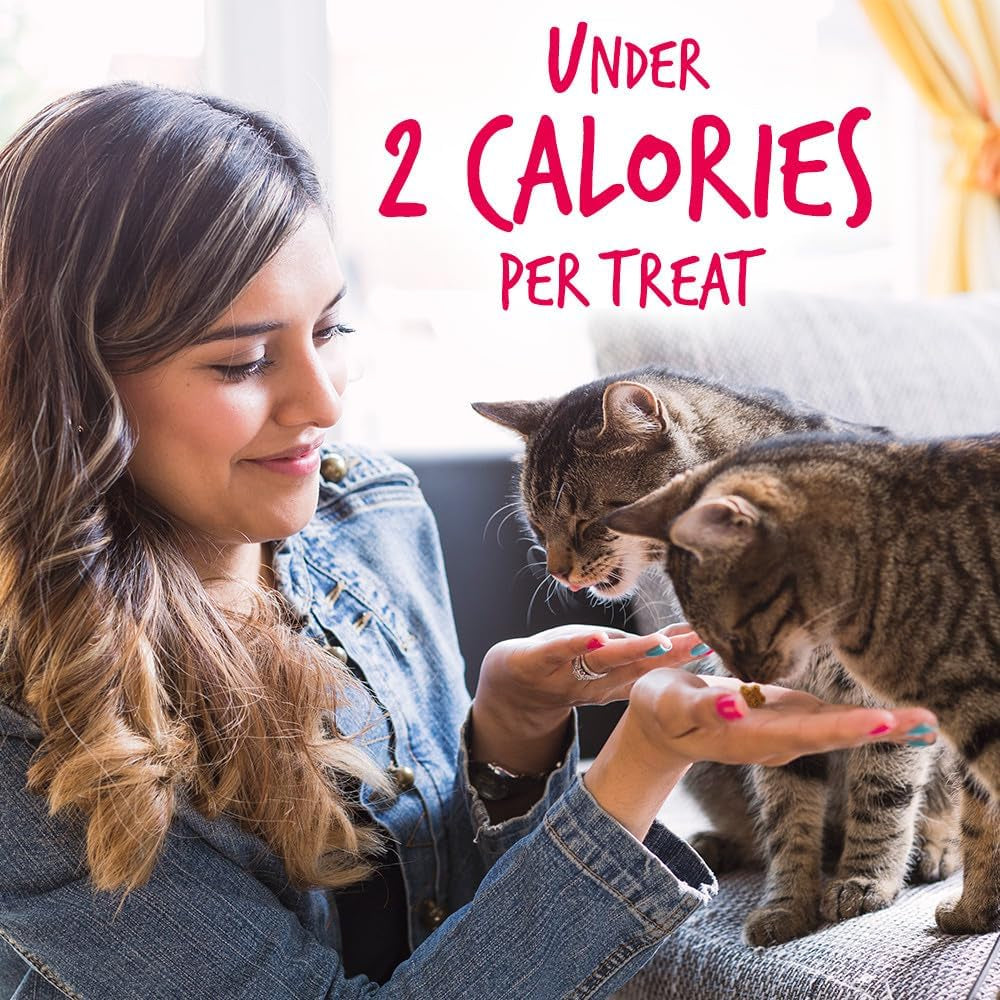 Cat Crunchy Treats made with salmon - BIG FRENCHIES