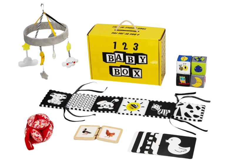 Montessori Educational Box (0-2 Months) - BIG FRENCHIES