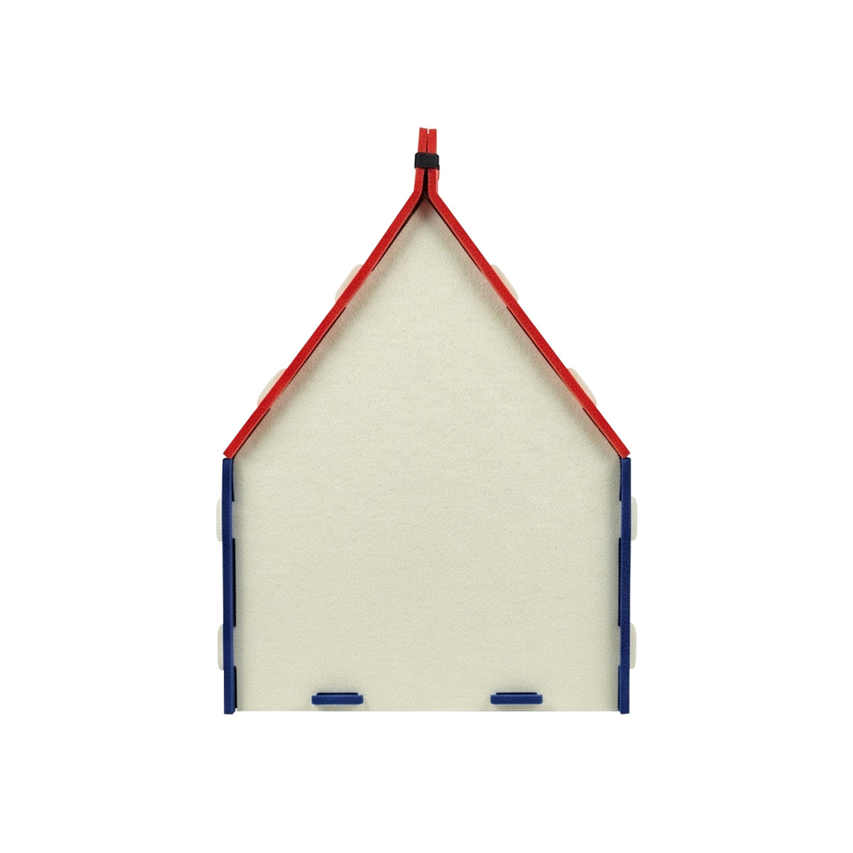 Cat Carrying A House