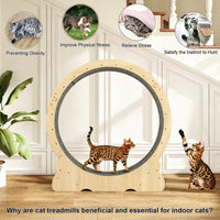 Cat Wheel, Large Cat Treadmill for Indoor Pets, Cats Exercise Running Wheel with Detachable Carpet, Quiet and Sturdy, Su