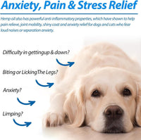 Hemp Oil for Dogs & Cats — Calming, Joint & Skin Support | 60ml Daily Supplement