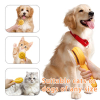 Cat Brushes for Indoor Cats - BIG FRENCHIES