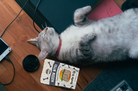 Single Ingredient, High Value Freeze-Dried Training Treats for Dogs & Cats - Beef Liver