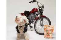 Single Ingredient, High Value Freeze-Dried Training Treats for Dogs & Cats - Salmon