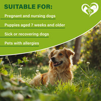 Flea & Tick Collar for Dogs 6-Month Protection Essential Oil Repellent 1 Pack