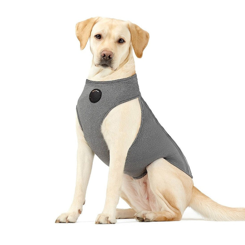 NeoAlly Upgraded Dog Surgical Recovery Vest for Dogs and Cats-Pet Medical Collars-BIG FRENCHIES-PawBehave