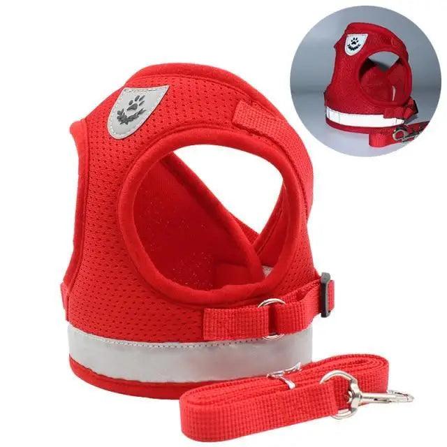 Dog Harness and Leash Set For  Small Medium Dogs Nylon Mesh Puppy Cat Harnesses Vest Reflective Walking Lead Leash Puppy Harness and Leash No Pull Adjustable Reflective Harness with Soft Mesh for Puppies and Small Dogs-Harnesses-BIG FRENCHIES-Stevvex
