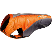 Dog Helios ® Altitude-Mountaineer Wrap-Hook-and-Loop Waterproof Dog Coat - BIG FRENCHIES