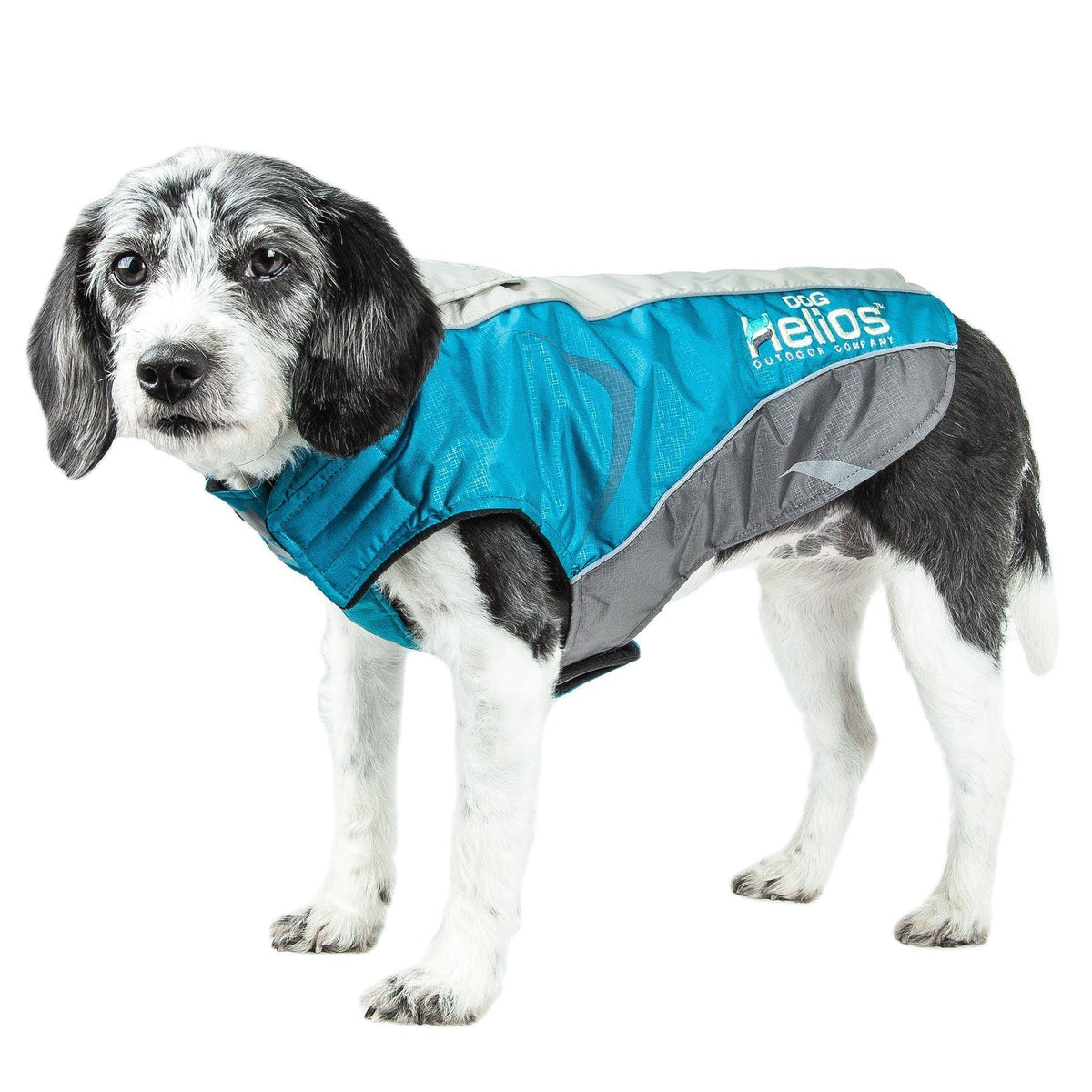 Dog Helios ® Altitude-Mountaineer Wrap-Hook-and-Loop Waterproof Dog Coat - BIG FRENCHIES