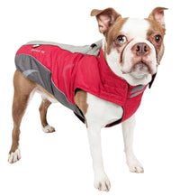 Dog Helios ® Altitude-Mountaineer Wrap-Hook-and-Loop Waterproof Dog Coat - BIG FRENCHIES