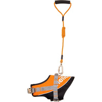 Dog Helios ® 'Bark-Mudder' 2-in-1 Reflective and Adjustable Sporty Dog Harness and Leash - BIG FRENCHIES