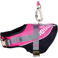 Dog Helios ® 'Bark-Mudder' 2-in-1 Reflective and Adjustable Sporty Dog Harness and Leash - BIG FRENCHIES